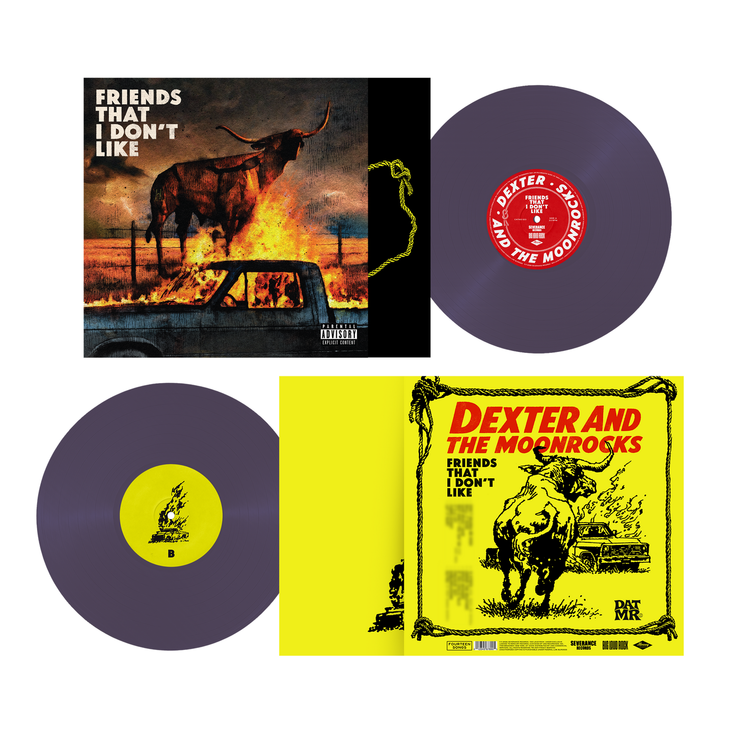 PREORDER Friends That I Don't Like Vinyl-Dark Purple