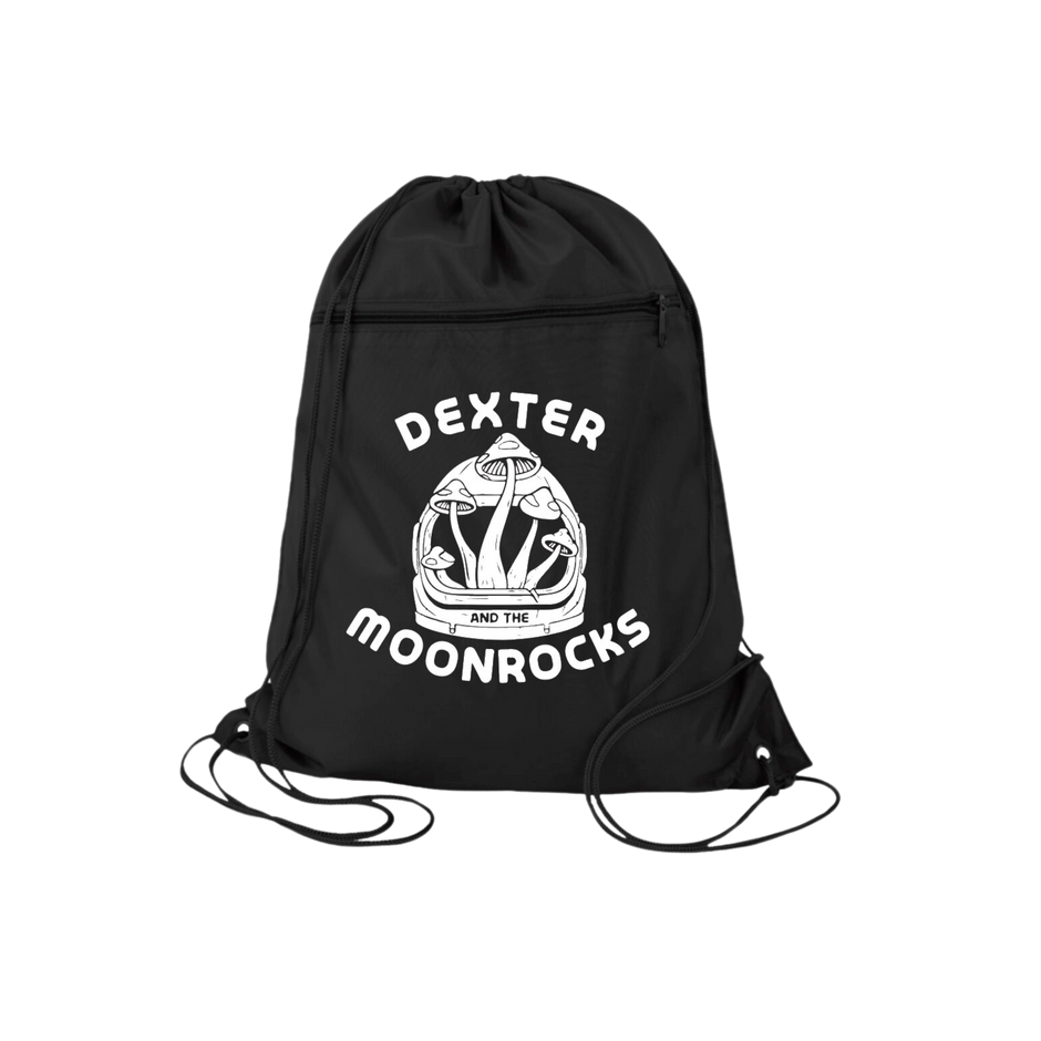 Spark Moon Rocks Logo Dexter and The Moonrocks