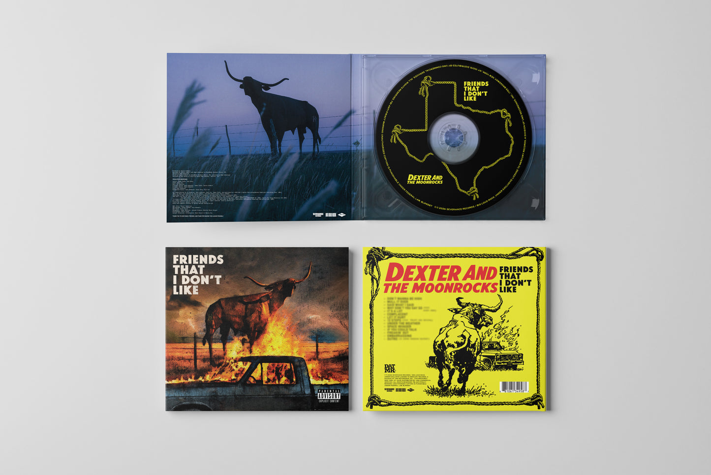 PREORDER Friends That I Don't Like CD